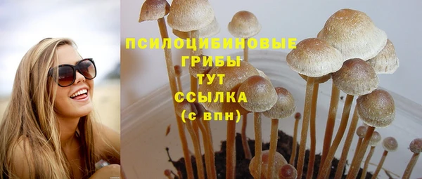 дмт Баксан