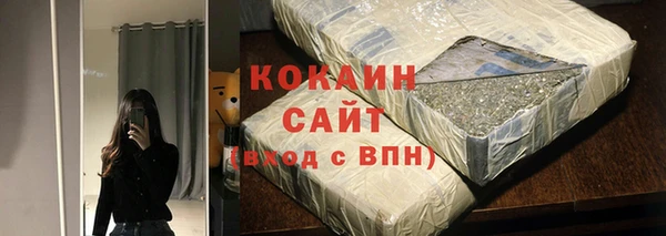 шишки Балахна