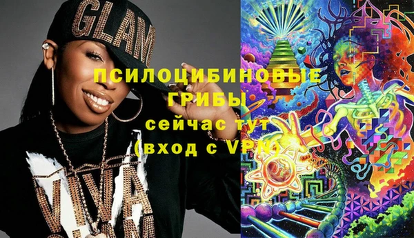 шишки Балахна