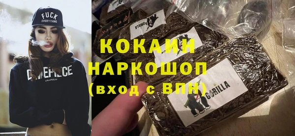 шишки Балахна