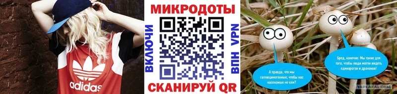 хочу наркоту  Сокол  Псилоцибиновые грибы прущие грибы 